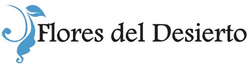 La belleza comienza en tus tacones